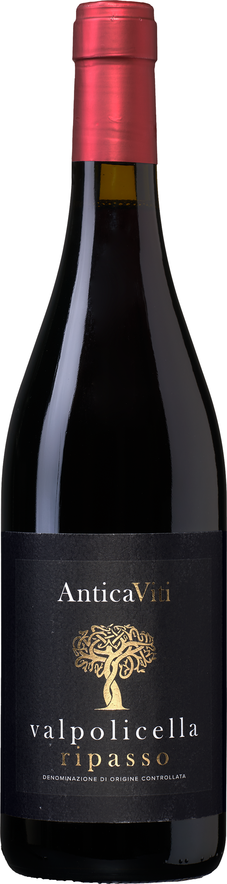 Antica Viti Valpolicella DOC Ripasso