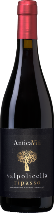 Antica Viti Valpolicella Ripasso